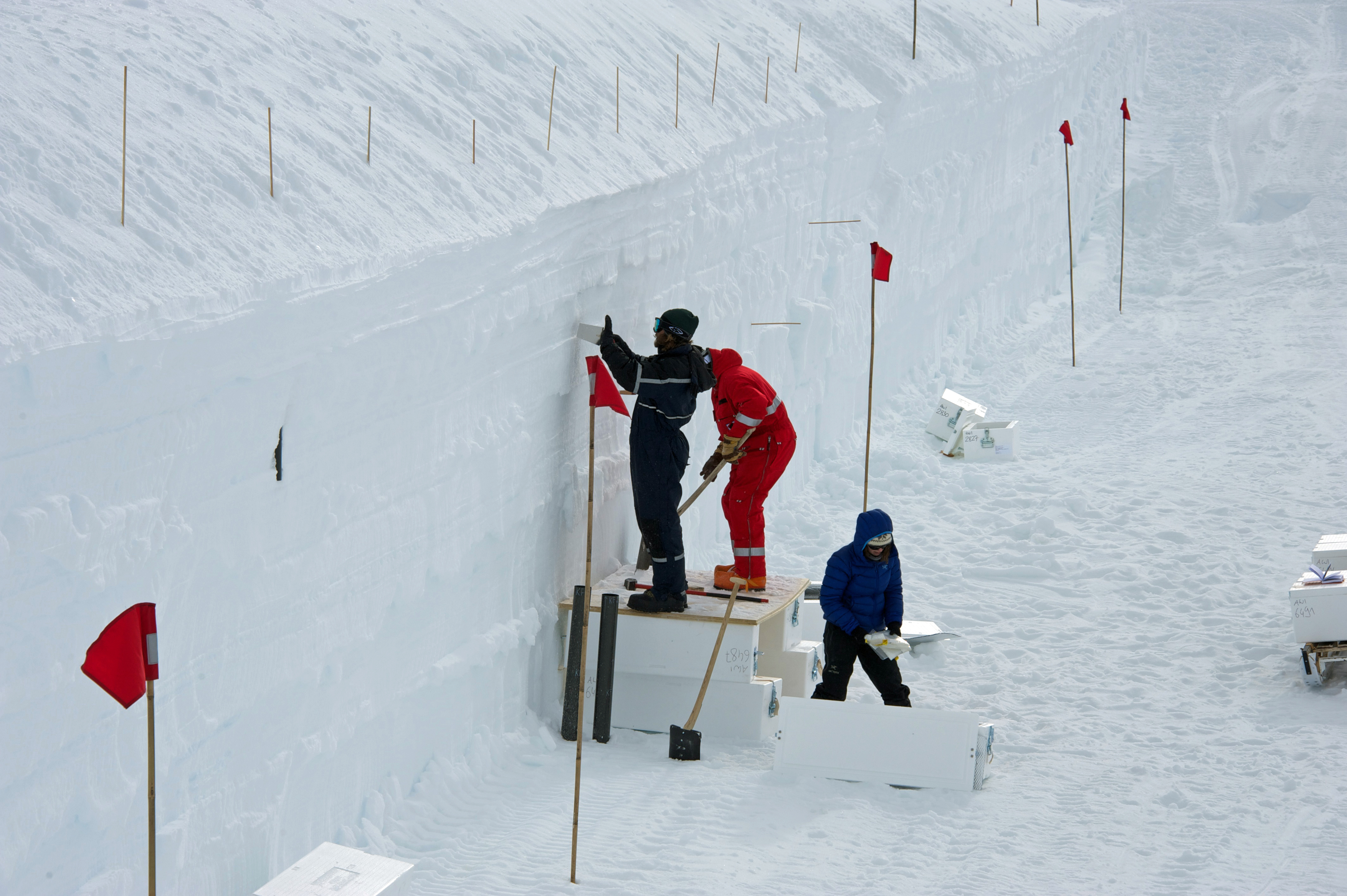 The opportunity is used to sample snow and firn from the freshly cut walls